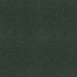 Desso Fields B751 7831