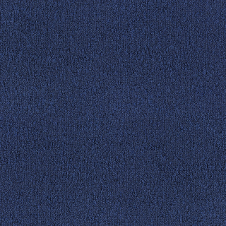 Desso Fields B751 8812