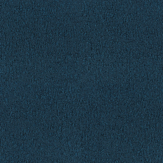 Desso Fields B751 8841