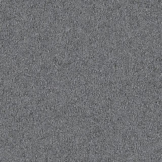 Desso Fields B751 8904