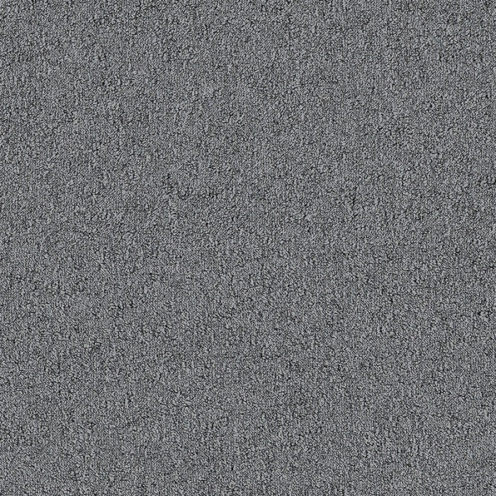 Desso Fields B751 8904
