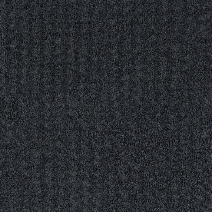 Desso Fields B751 9021
