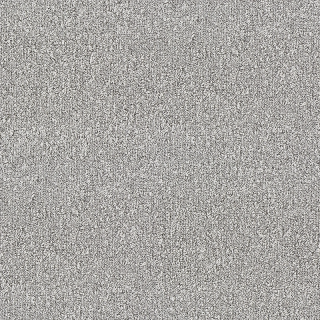 Desso Fields B751 9098