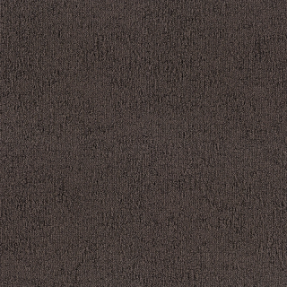 Desso Fields B751 9111