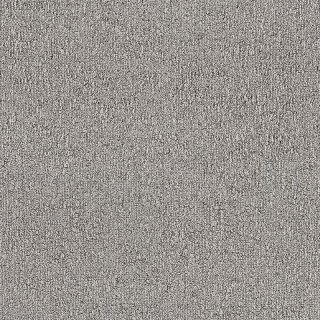 Desso Fields B751 9515