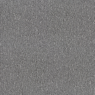Desso Fields B751 9945