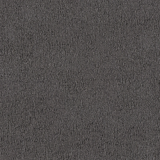Desso Fields B751 9980