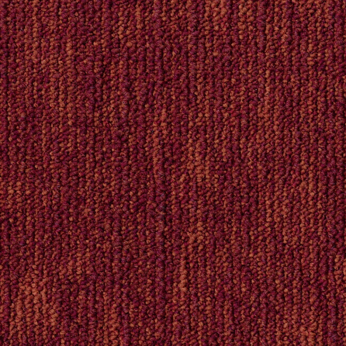 Desso Grain B867 4211