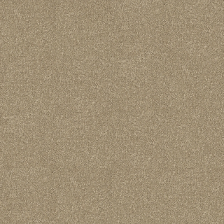 Desso AirMaster Earth AD31 2023