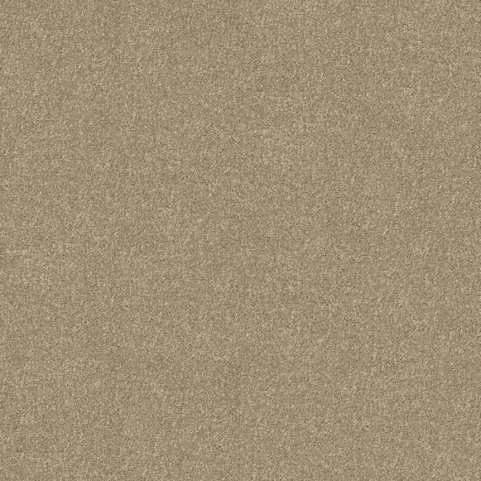 Desso AirMaster Earth AD31 2023