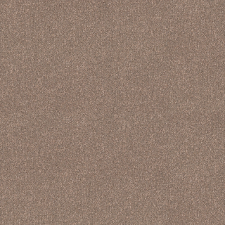 Desso AirMaster Earth AD31 2083