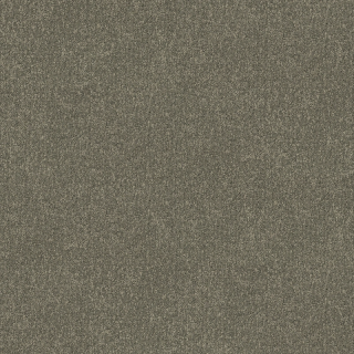 Desso AirMaster Earth AD31 9094
