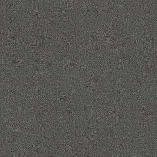 Desso AirMaster Earth AD31 9112