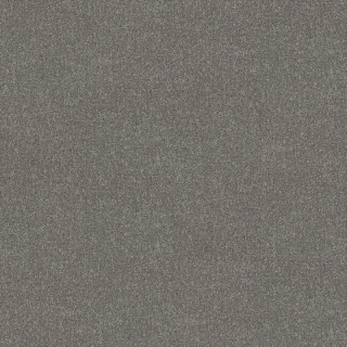 Desso AirMaster Earth AD31 9535