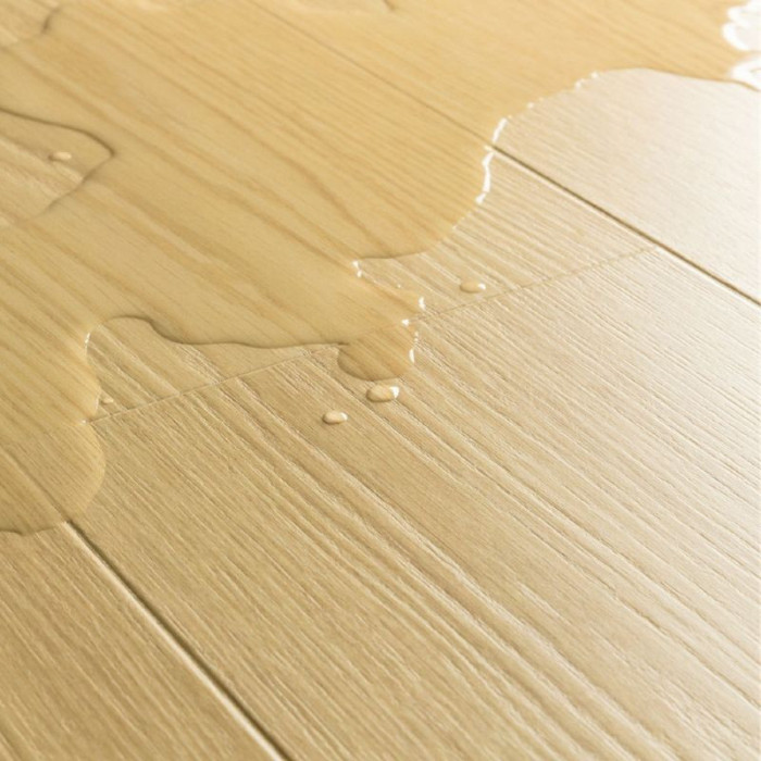 Düneneiche - Quick Step Impressive Laminat