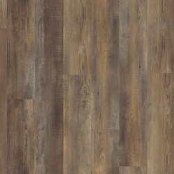 Wineo 800 wood Crete Vibrant oak - dryback