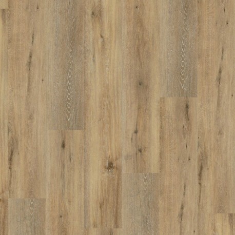 Wineo 600 wood XL Victoria oak grey Klebevinyl