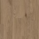 Eiche Gold Design Korkparkett klick system