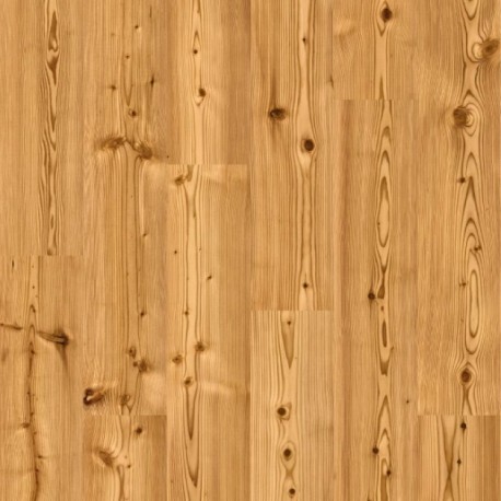 Lärche Spice Design Korkparkett klick system