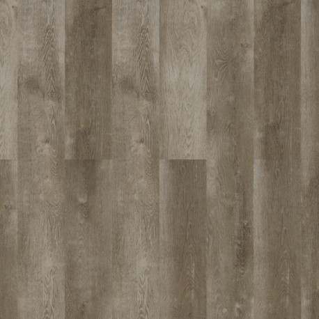 Natural grey Oak  Forbo Enduro click 0.30 Klick Vinyl
