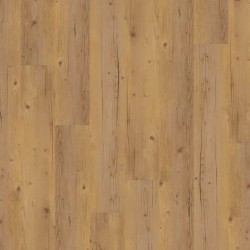 Blond Pine  407 | JOKA Design 555 CLICK Vinyl