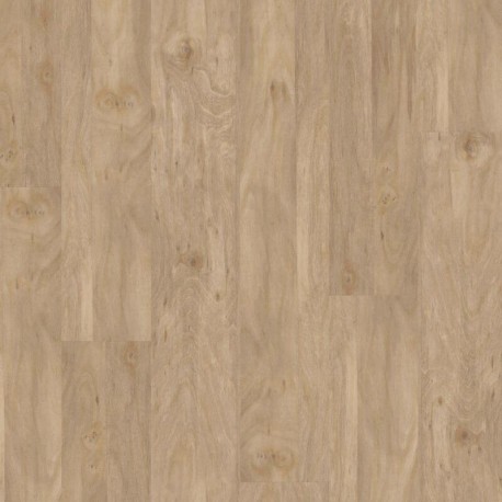 Bleached Elm 413P | JOKA Design 555 CLICK | Klick Vinylboden