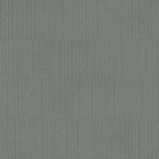 Desso AirMaster Classic AD20 9505-V B8