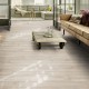 Sierra Oak 58228 IVC Moduleo LayRed 55 Klickvinyl