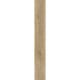 Sierra Oak 58847 IVC Moduleo LayRed 55 Klickvinyl