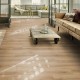 Classic Oak 24837 IVC Moduleo LayRed 55 Klickvinyl
