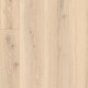 Forest Oak Pistaccio Shell NATURALS Tarkett iD Click Ultimate 55|70 Hartvinyl