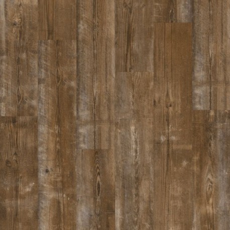 Kiefer Sonnenuntergang Quick Step Bloom Klick Vinyl