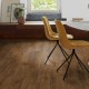 Herbsteiche braun Quick Step Bloom Klick Vinyl
