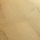 Eiche gebürstet Honig Quick Step Bloom Klick Vinyl