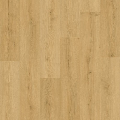 Eiche gebürstet Honig Quick Step Bloom Klick Vinyl