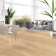 Cool Oak - Classic Tarkett Essence Rigid 30-55 Hartvinyl