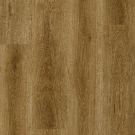 Chambord Oak GOLDEN | Tarkett iD Evolution (non-PVC)