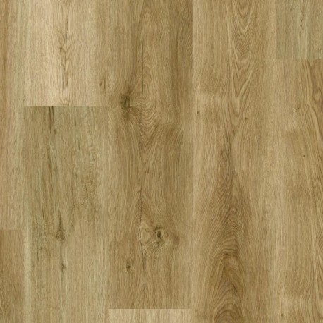 Chambord Oak HONEY  | Tarkett iD Evolution (non-PVC)