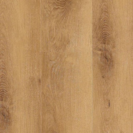 Sierra High BerryAlloc Spirit XL 55 Glue Down vinyl