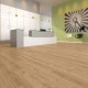 5205 French Blond Oak | JOKA Designböden 555 Klebevinyl