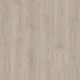 5303 Perfect Grey Oak | JOKA Design floors 555 Glue Down vinyl
