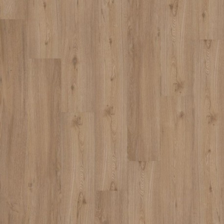 5509 Spring Oak | JOKA Designböden 555 Klebevinyl