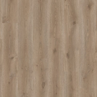 Contemporary Oak Grege - Tarkett ID Classics 30