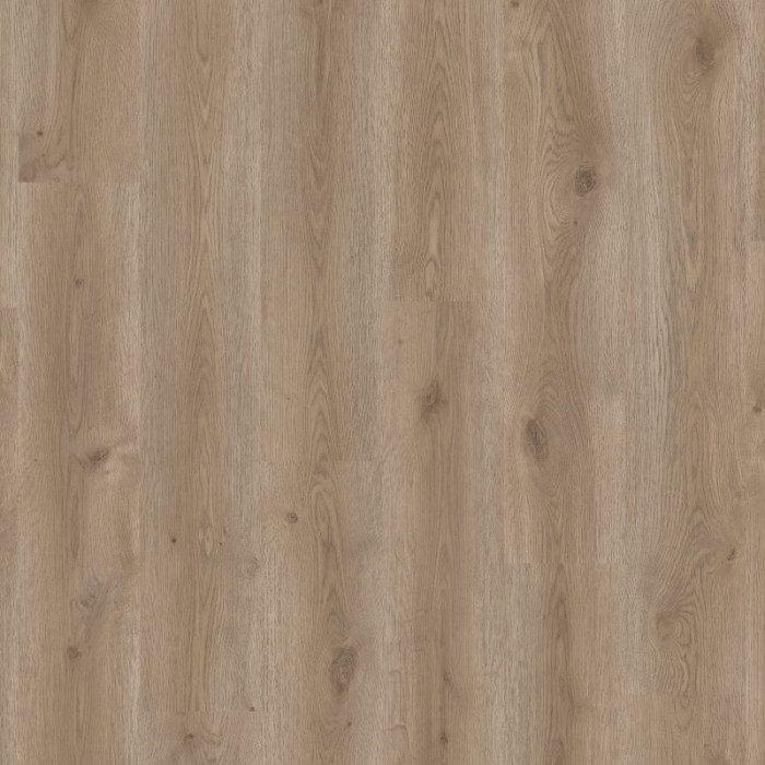 Contemporary Oak Grege - Tarkett ID Classics 30