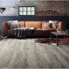 Moduleo Roots 55