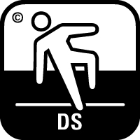 DS